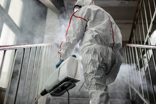 Best HVAC Mold Inspection and Cleaning  in Eudora, KS